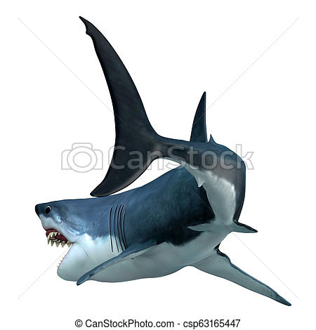 450x470 Great White Shark Tail The Great White Shark Can Live - Shark Tail Drawing