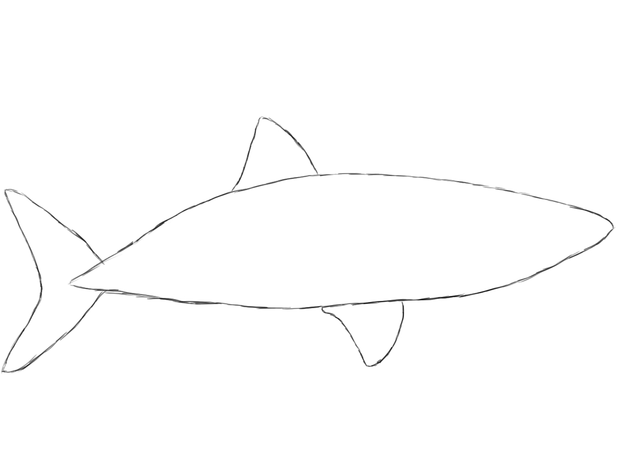 Хвост акулы карандашом