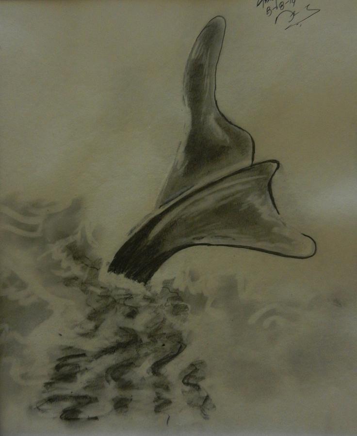 736x900 Shark Tail Drawing - Shark Tail Drawing