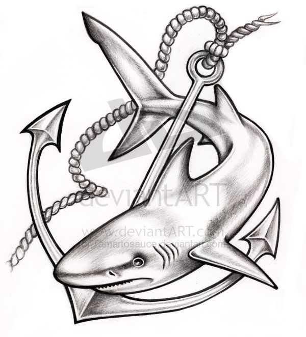 600x662 Anchor N Shark Tattoo Flash Tattoos Shark Tattoos, Anchor - Shark Tattoo Drawing