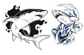 278x181 Black And White Shark Tattoo Designs - Shark Tattoo Drawing