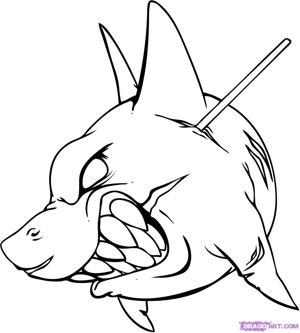 976x1083 Siirus How To Draw A Shark Tattoo - Shark Tattoo Drawing