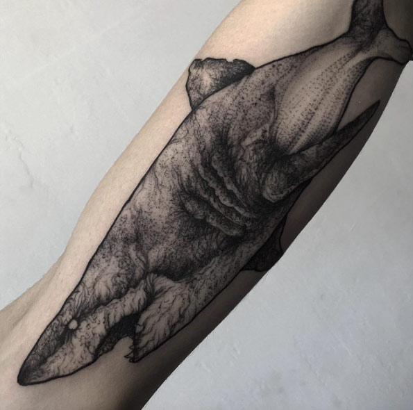 595x590 Fantastic Shark Tattoos That Are Better Than Shark Week - Shark Tattoo Drawing