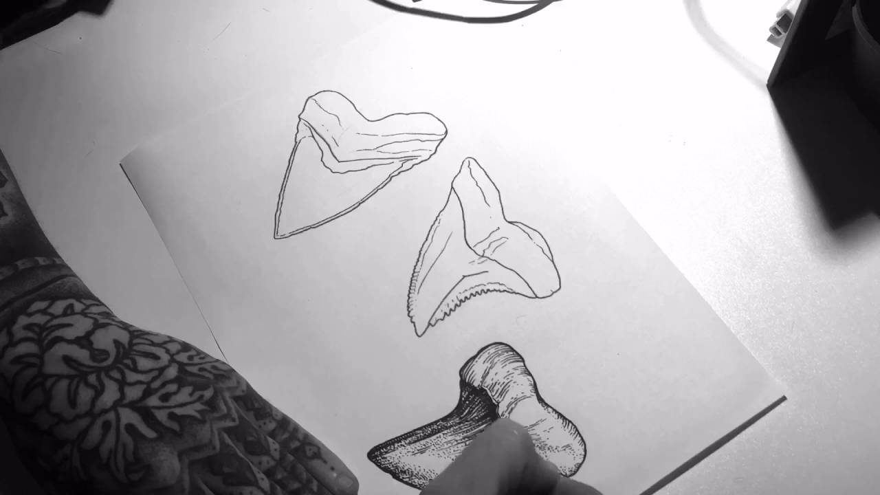 1280x720 Mister Paterson - Shark Tooth Drawing
