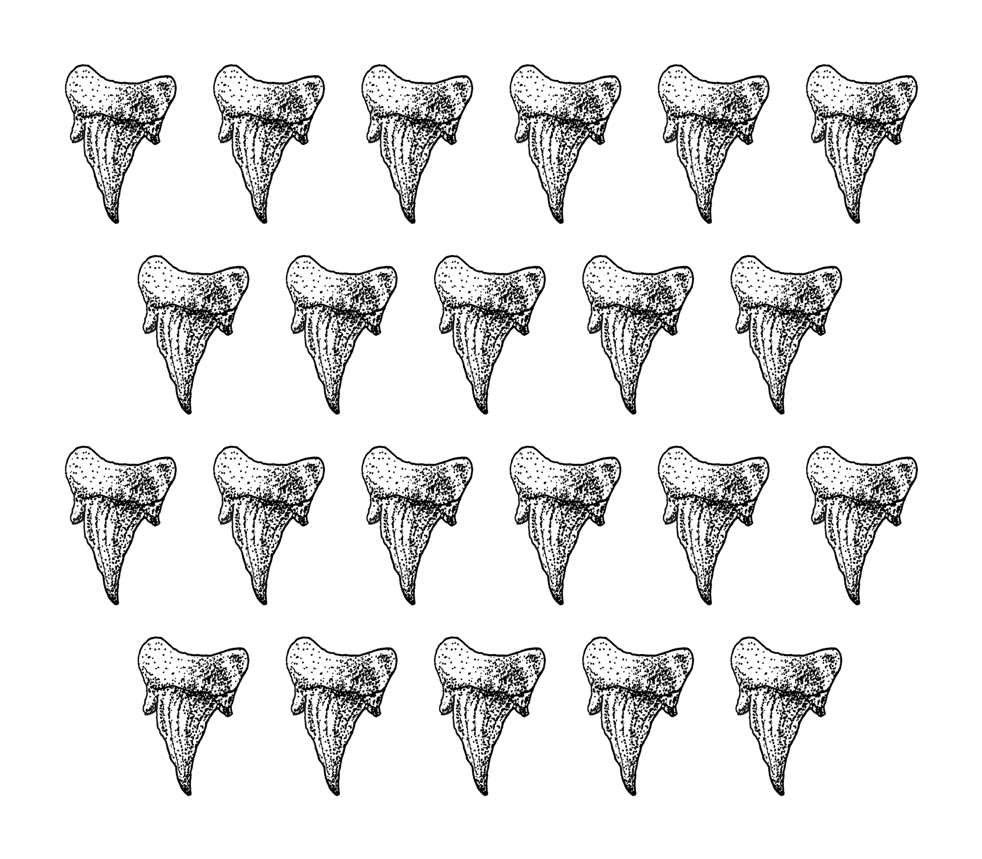 Зубы акулы эскиз