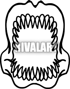 287x361 Shark Teeth Clipart - Shark Tooth Drawing