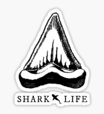 210x230 shark tooth drawing stickers redbubble - Shark Tooth Drawing