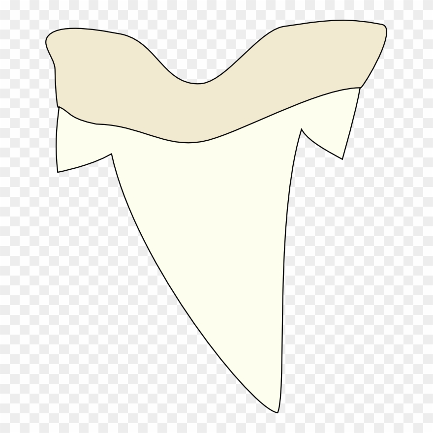 880x880 Clipart - Shark Tooth Drawing