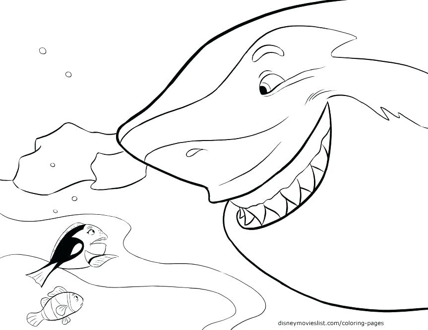 863x667 shark drawing open mouth great shark attack with open jaws full - Shark With Mouth Open Drawing