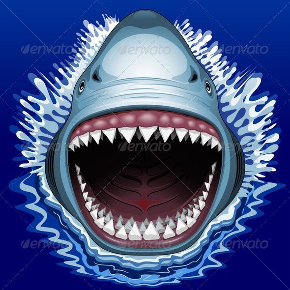 590x590 shark mouth open drawing - Shark With Mouth Open Drawing
