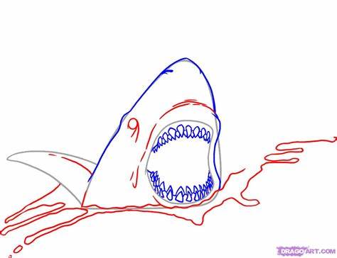 474x364 shark with mouth open drawing gtgt - Shark With Mouth Open Drawing