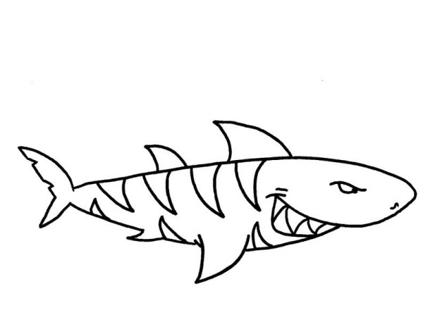 600x454 Sharks Sand Shark Transparent Png Clipart Free Download - Shark With Mouth Open Drawing