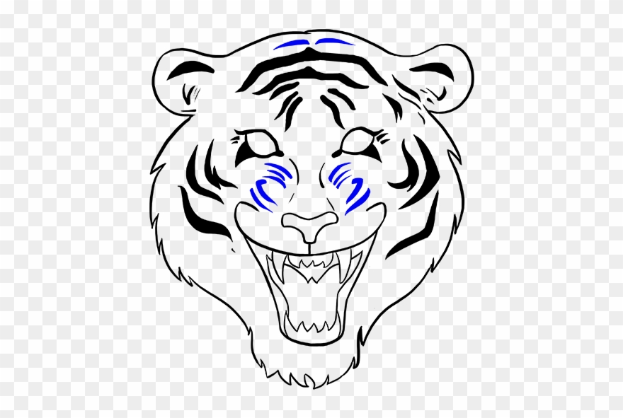 880x591 drawn white tiger mouth open drawing clipart - Shark With Mouth Open Drawing