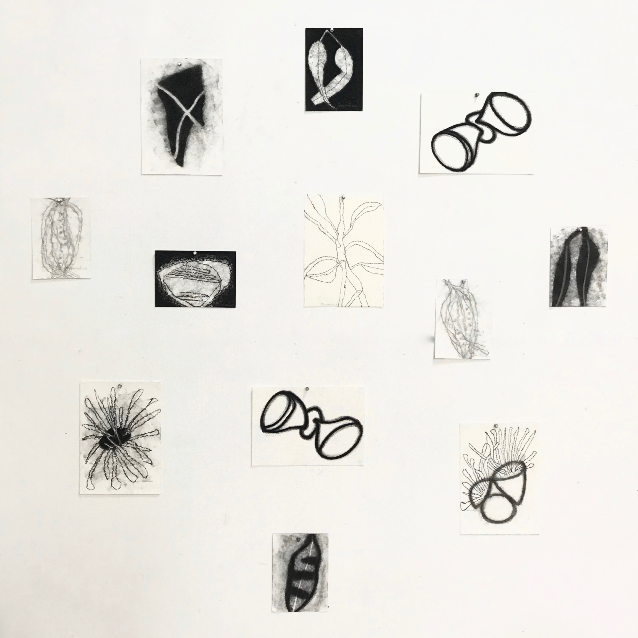 2560x2560 peter sharp - Sharp Drawing