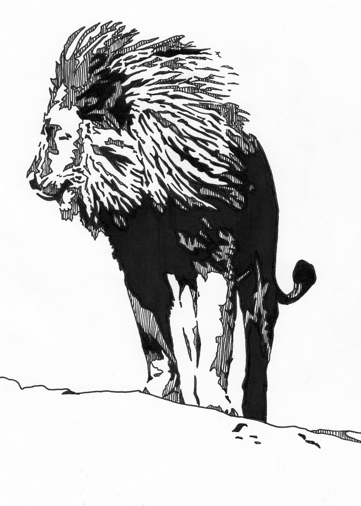 1436x2010 lion mars will send no more - Sharpie Marker Drawings