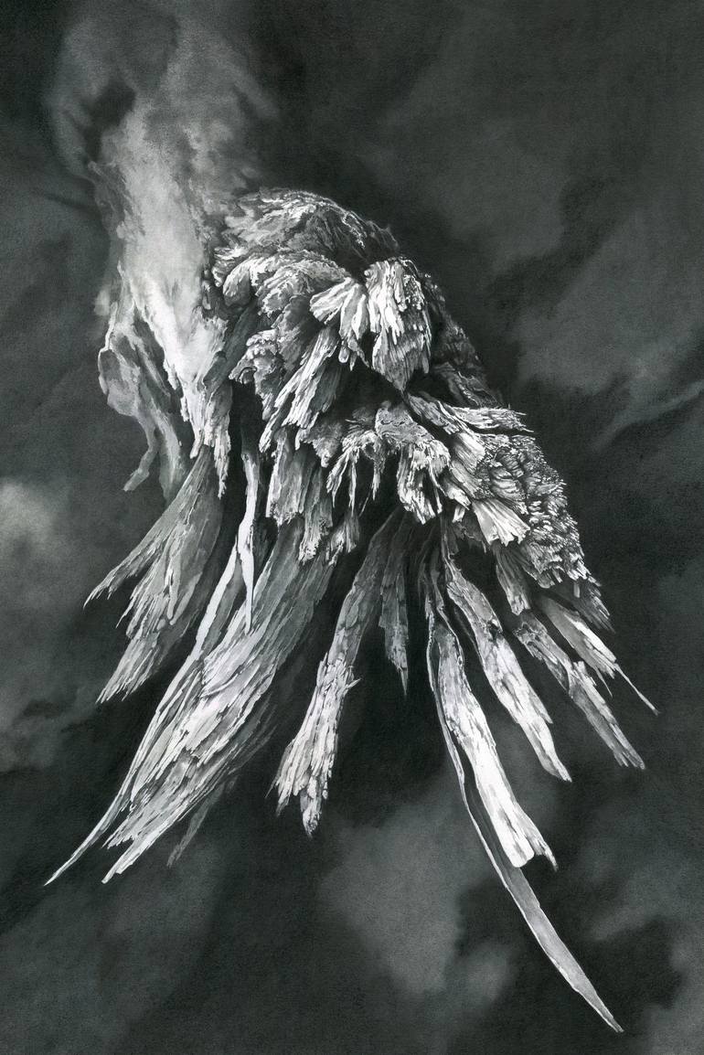 770x1154 limb, shattered drawing - Shattered Drawing