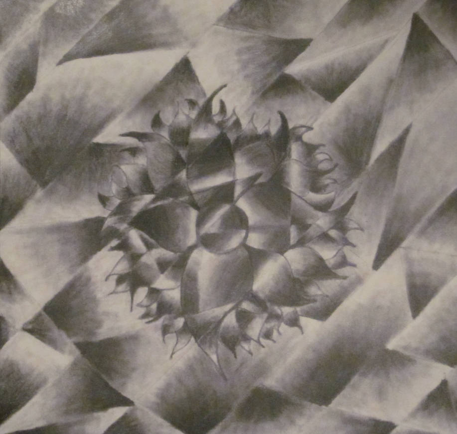 917x871 shattered drawing - Shattered Drawing