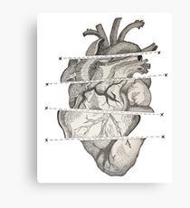 210x230 broken heart drawing canvas prints redbubble - Shattered Heart Drawing