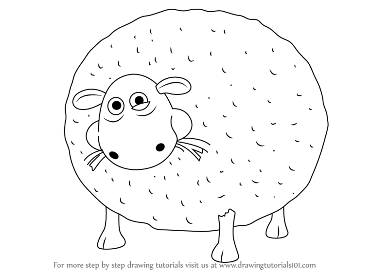 800x563 learn how to draw shirley from shaun the sheep - Shaun The Sheep Drawing