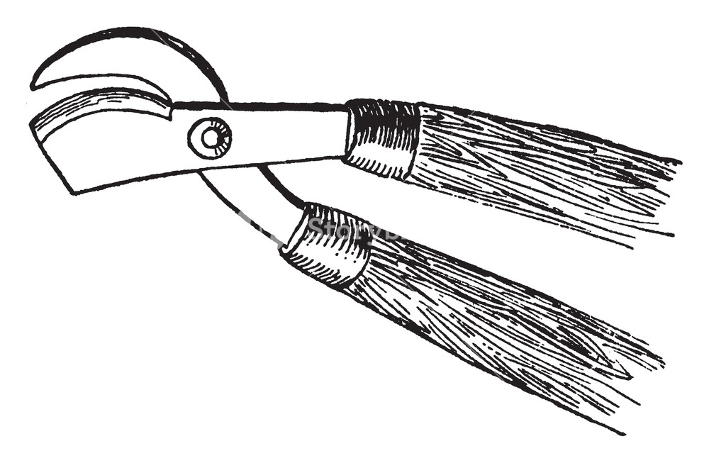Shears Drawing at Explore collection of Shears Drawing