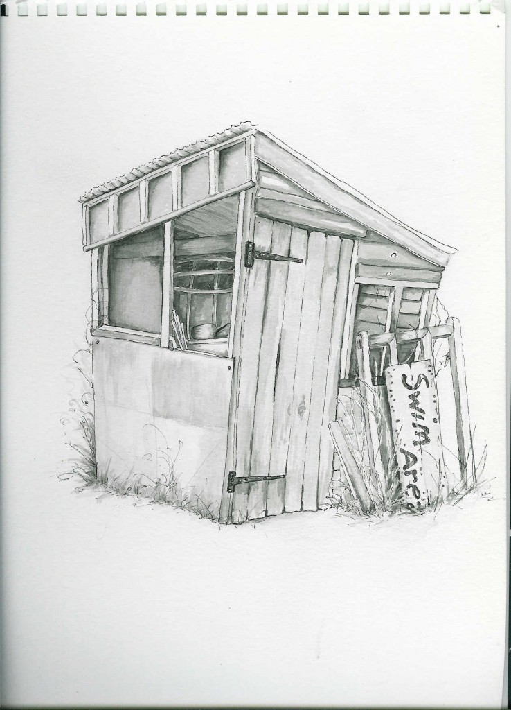 738x1024 shed drawing teds woodoperating review is it worth the time - Shed Drawing