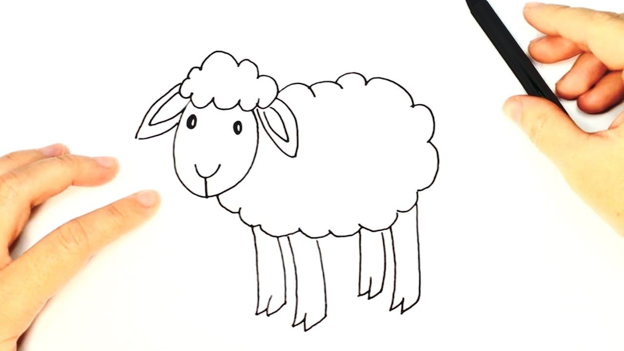 1280x720 how to draw a sheep for kids sheep easy draw tutorial - Sheep Drawing