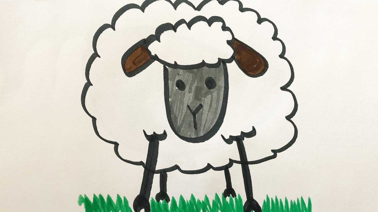 1280x720 How To Draw And Color A Sheep For Kids! - Sheep Drawing For Kids
