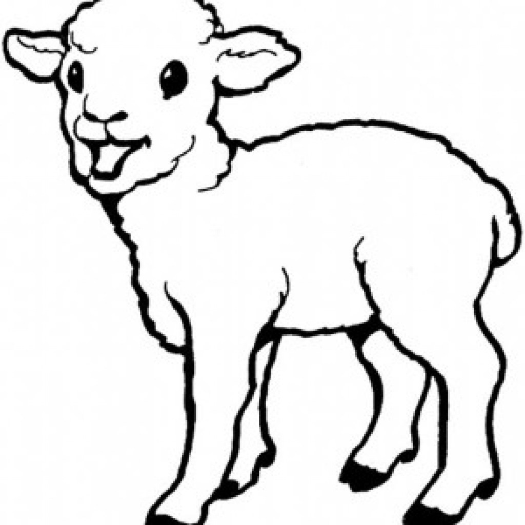 1024x1024 lamb drawings for kids lambs henry moore om ch tate - Sheep Drawing For Kids