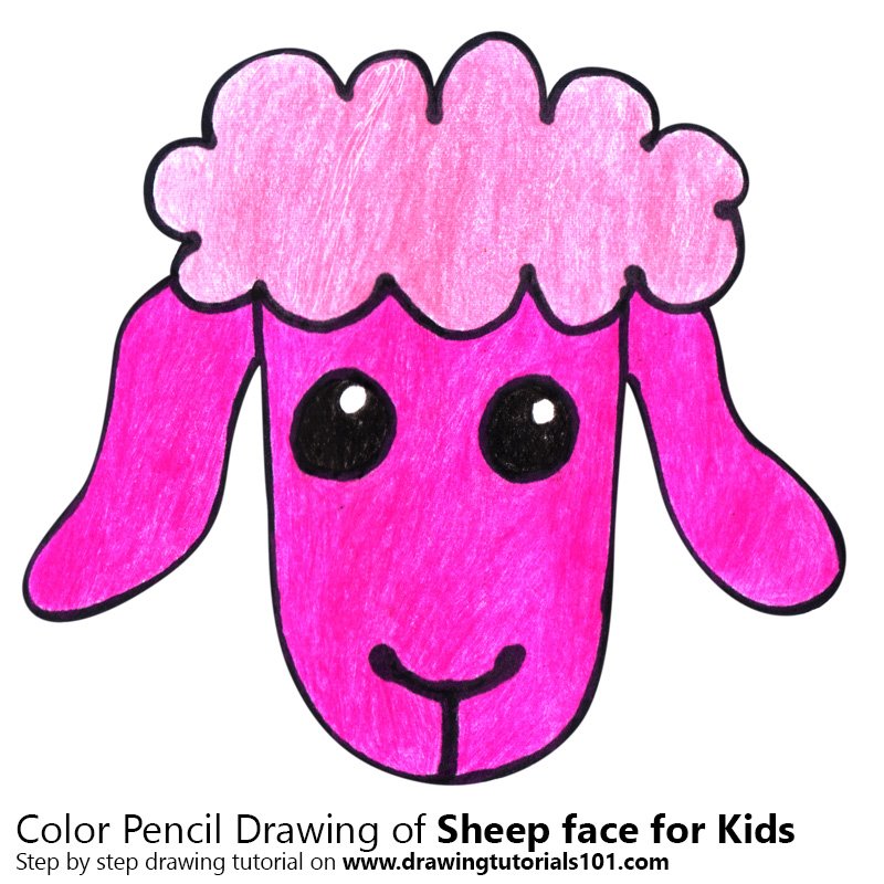 800x800 Learn How To Draw A Sheep Face For Kids - Sheep Drawing For Kids