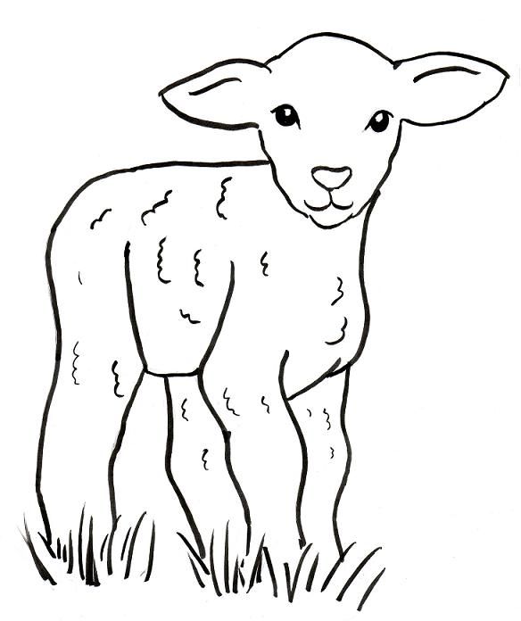 584x696 Patternstemplates Sheep Drawing, Easy - Sheep Drawing Images