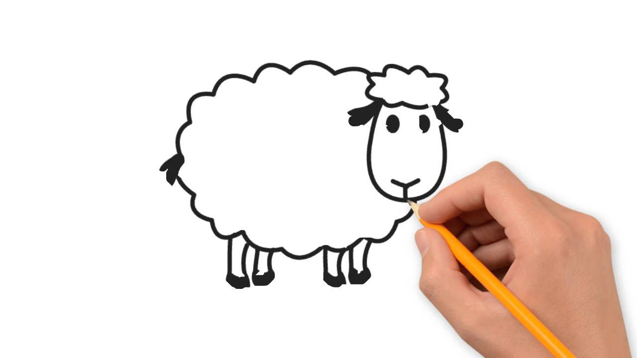 1280x720 Sheep Animals Pencil To Draw Step - Sheep Drawing Images