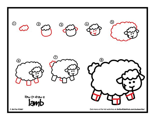 620x479 How To Draw A Lamb - Sheep Drawing Step By Step