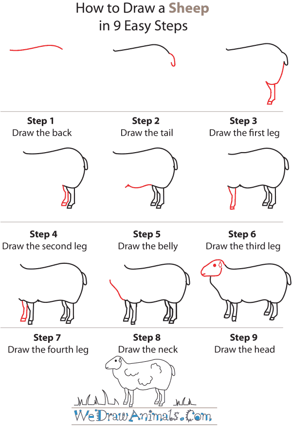 600x888 How To Draw A Sheep - Sheep Drawing Step By Step