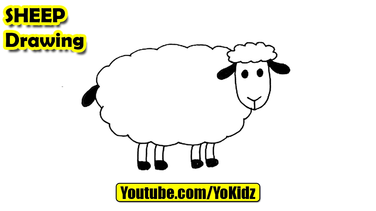 1280x720 How To Draw Sheep For Kids - Sheep Drawing Step By Step