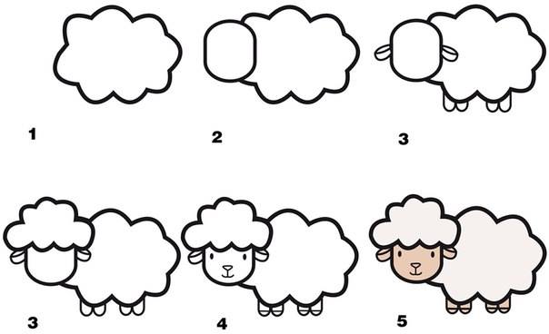 Sheep Drawing Step By Step at PaintingValley.com | Explore collection ...