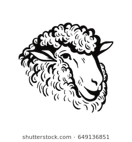 260x280 sheep draw something luxury sheep face stock s vectors - Sheep Face Drawing