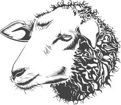 dark sheep head art dread