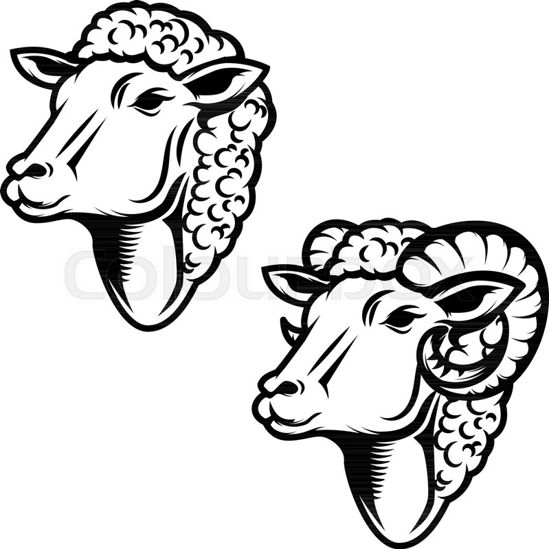 799x800 Set Of Sheep Head Illustration Ram Stock Vector Colourbox - Sheep Head Drawing