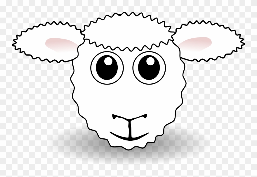 880x605 Sheep Head Drawing - Sheep Head Drawing