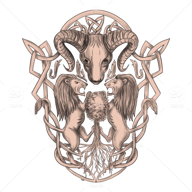 640x640 tattoo style illustration of stylized bighorn sheep head with two - Sheep Head Drawing