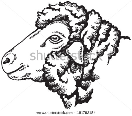450x394 Lamb Head Clipart Outline - Sheep Head Drawing
