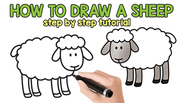 640x360 How To Draw A Sheep - Sheep Images For Drawing