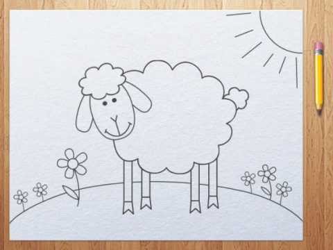 480x360 How To Draw A Sheep - Sheep Line Drawing