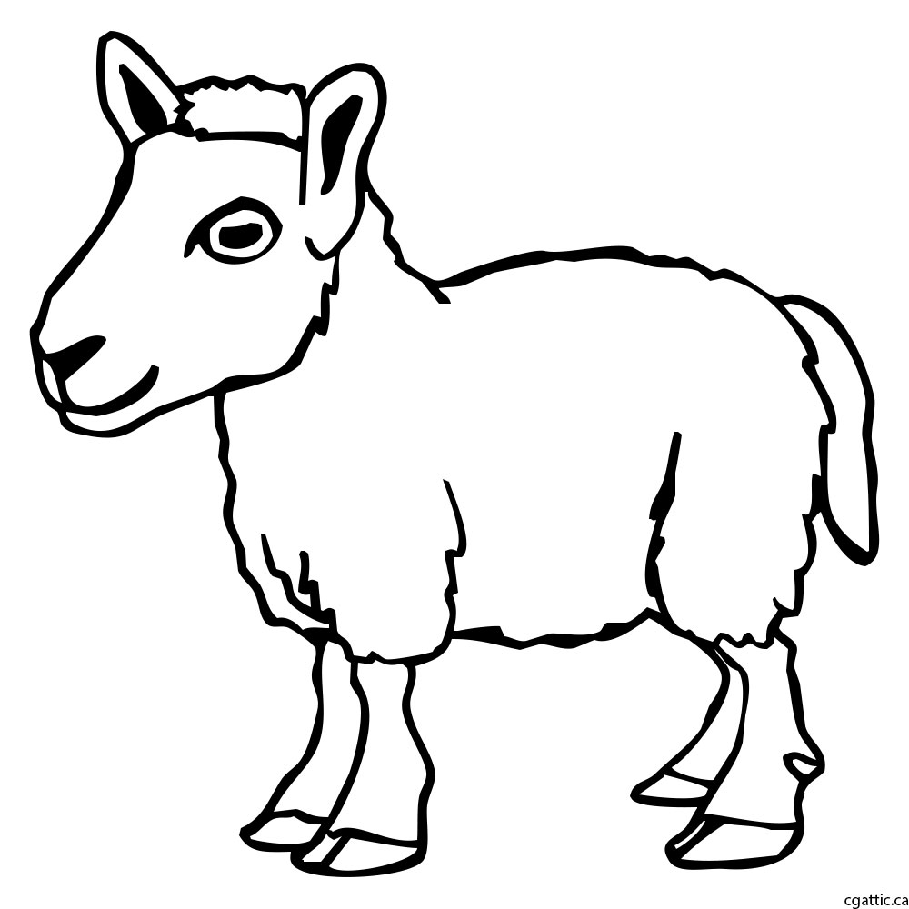 1000x1000 Sheep Cartoon Drawing In Steps With Photoshop - Sheep Line Drawing