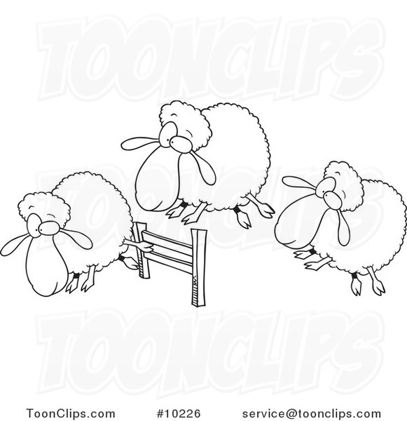 581x600 Cartoon Black And White Line Drawing Of A Herd Of Sheep Leaping - Sheep Line Drawing