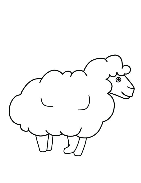 600x776 Lamb Outline Baby Animal Templates Format Download Free Lamb - Sheep Outline Drawing