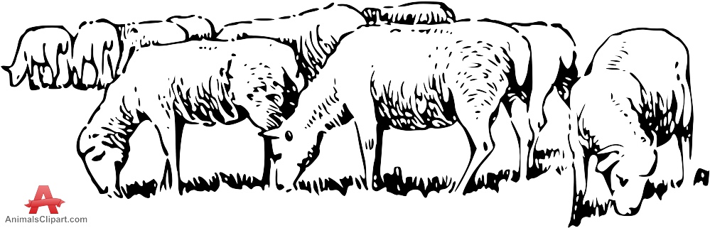 999x321 Sheep Drawing For Free Download - Sheep Outline Drawing