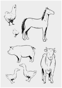 236x335 Real Animal Coloring Pages Elegant Sheep Outline Drawing Coloring - Sheep Outline Drawing