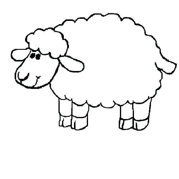 Sheep Outline Drawing at PaintingValley.com | Explore collection of ...