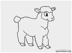 236x176 sheep coloring pages preschool astonishing sheep outline drawing - Sheep Outline Drawing